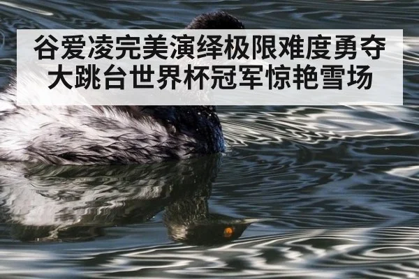 谷爱凌完美演绎极限难度勇夺大跳台世界杯冠军惊艳雪场